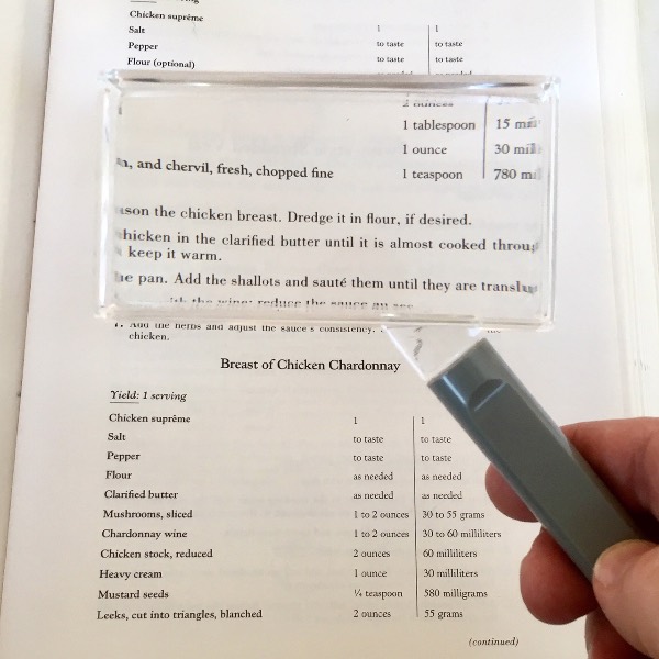 Rectangular Handheld Magnifier, 2x 2"x4" Lens, Lightweight